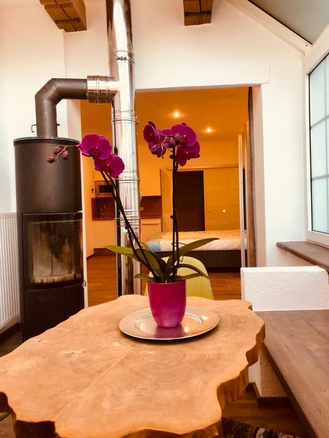 Echt Heimat Apartments 圣吉尔根 外观 照片